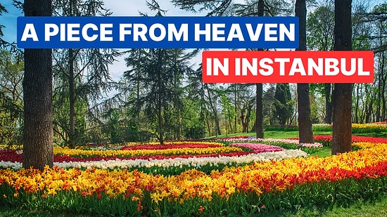 Where is Emirgan Park, How to get there? How much is the entrance fee to Emirgan Park?