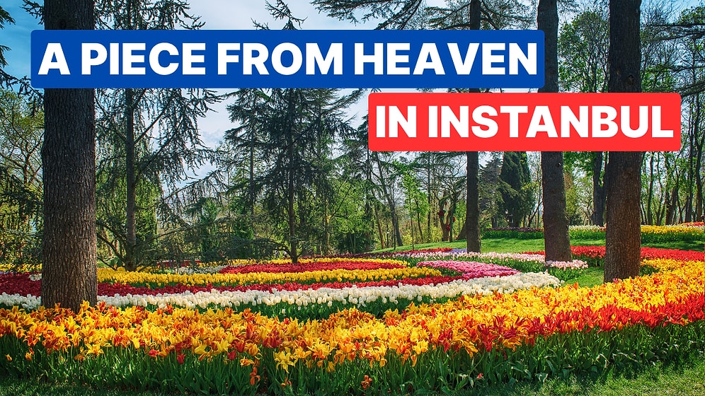 Where is Emirgan Park, How to get there? How much is the entrance fee to Emirgan Park?