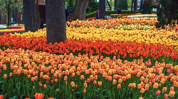 History of Emirgan Park