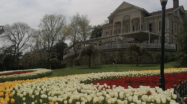 Where is Emirgan Park?