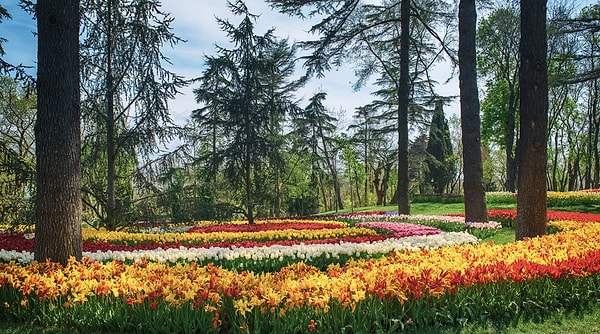 How much is the entrance fee to Emirgan Park?