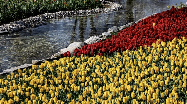 What is there to see in Emirgan Park?