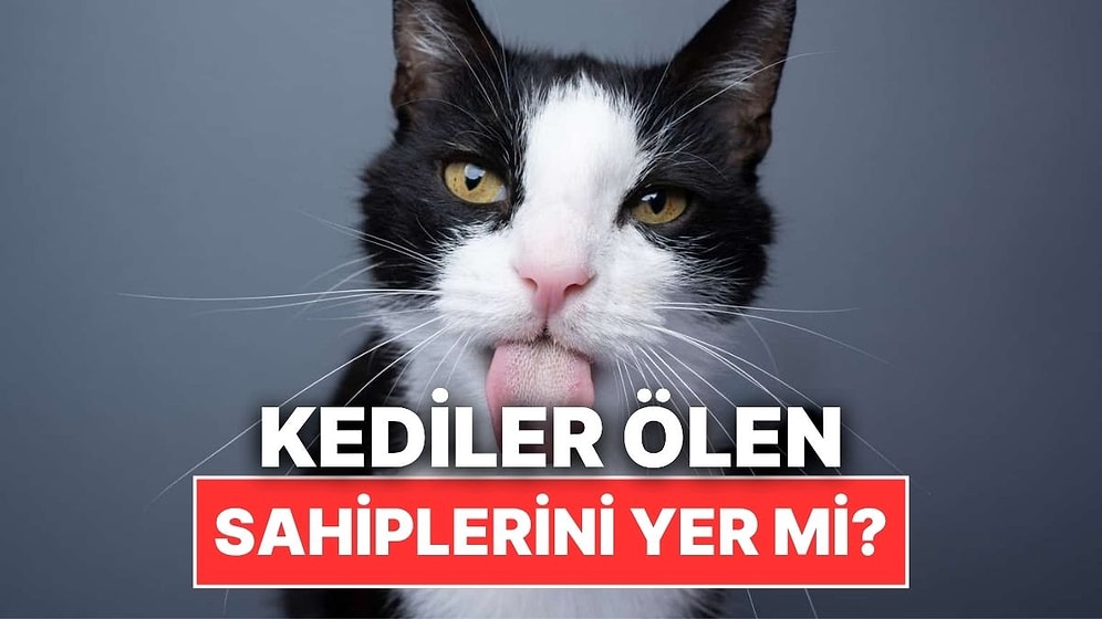 Kediler Ölen Sahiplerini Gerçekten Yer mi?