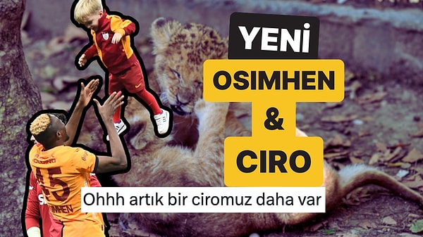 Kapak Görseli