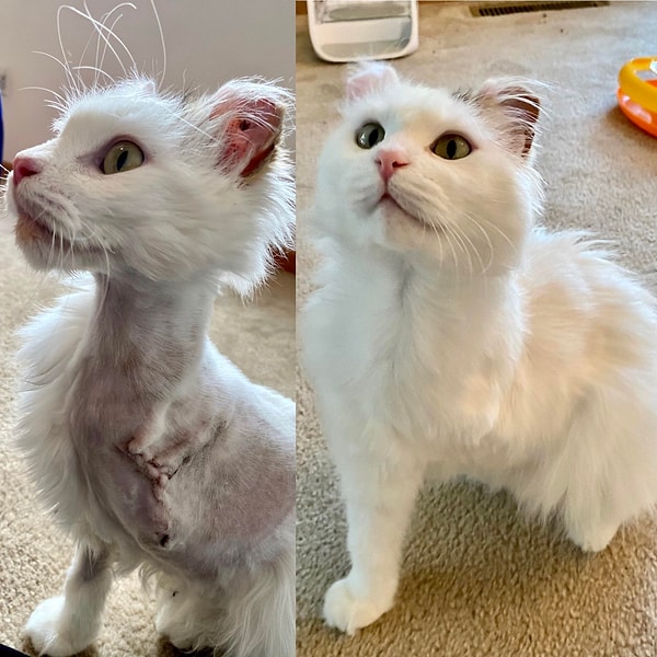 4. Şimdi nazlı bir bebek olduğuna o kadar eminiz ki! 😻