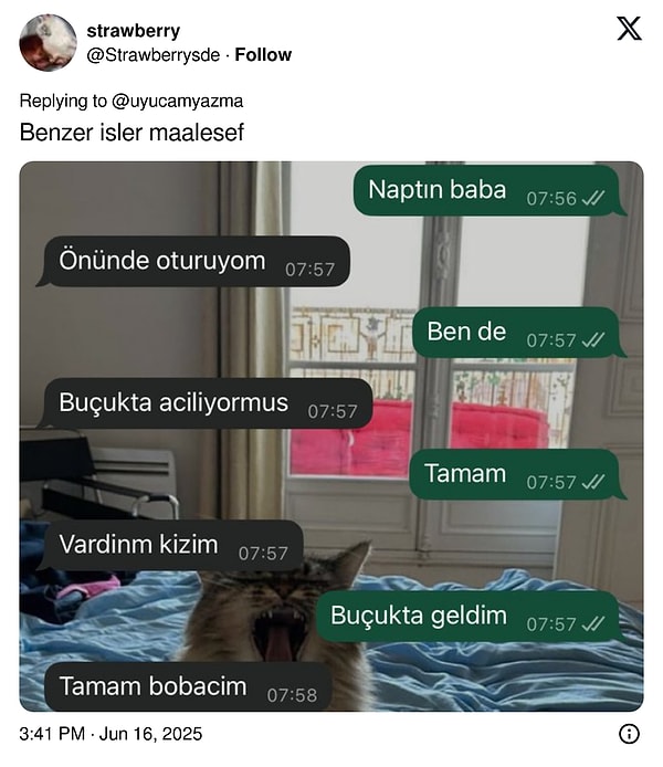 👇