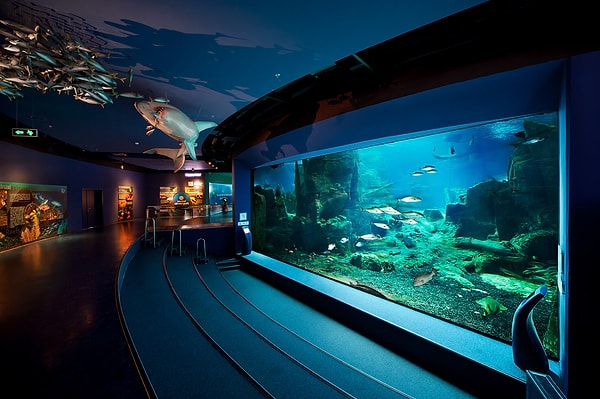 Creatures at Istanbul Aquarium
