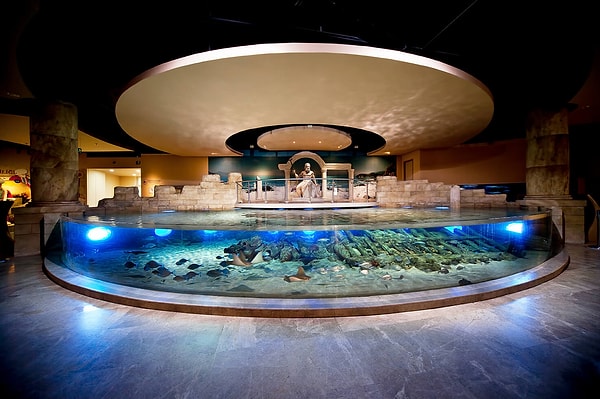 Thematic Areas at Istanbul Aquarium