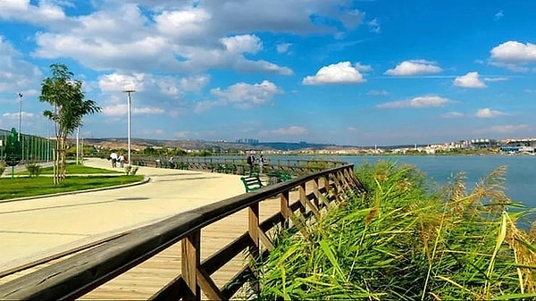 Key Features of Lake Mogan
