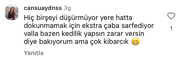👇