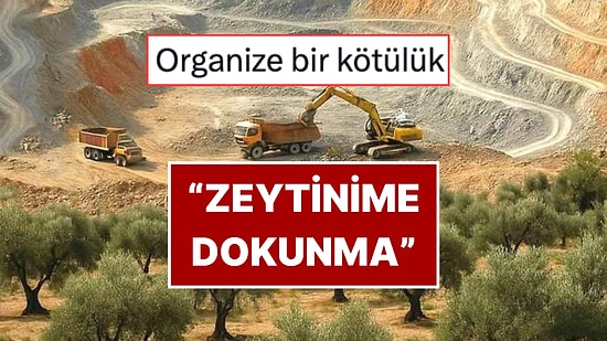 Zeytinliklerde Madenciliğin Önünü Açan Kanun Teklifinin Kabul Edilmesine Tepki Yağdı