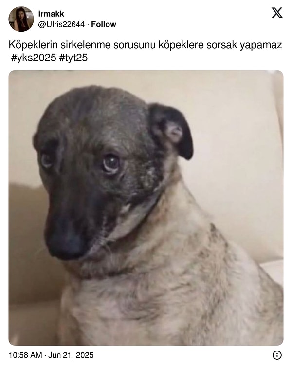 Herkes bu soruyu konuşuyor! 👇🏻