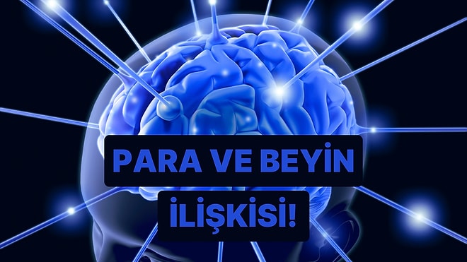 Parayla İlgilenirken Beyninin Hangi Bölgesi Çalışıyor?
