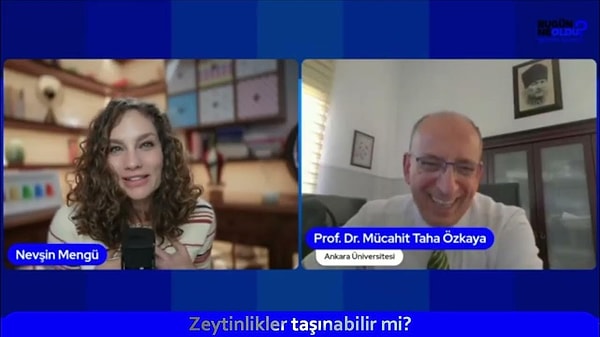 Zeytin ağaçlarının bulunduğu bölgeleri madencilik faaliyetlerine açacak olan yasa tasarısı bu hafta Meclis'e gelecek.