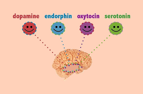 Beynimizdeki kimya: Dopamin, oksitosin ve serotonin etkisine bakalım.