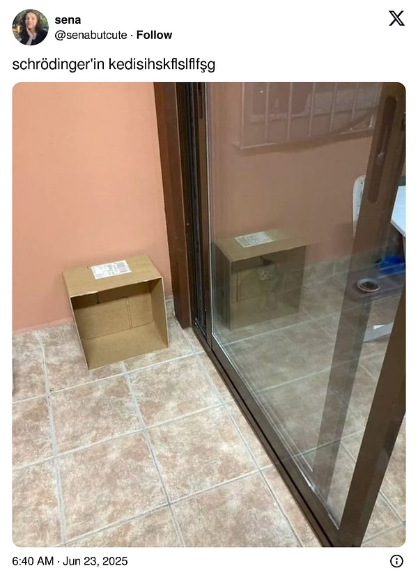 Elit bir şakayla başlayalım! Görseli