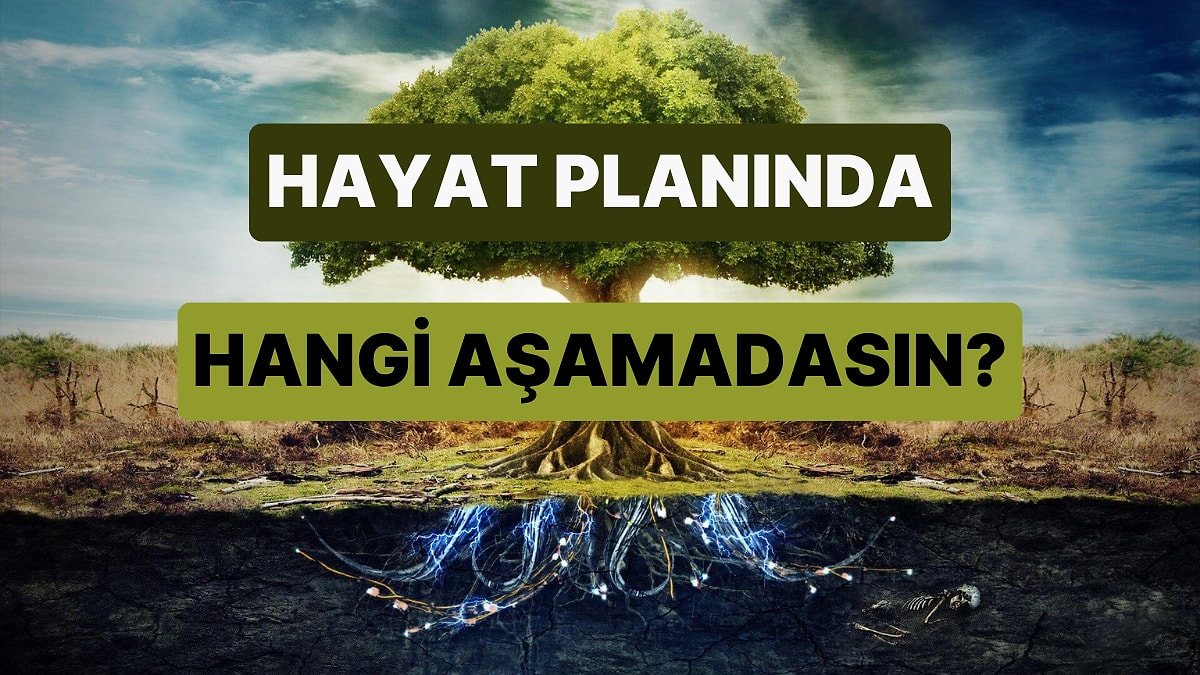 Hayat Planında Hangi Aşamadasın?