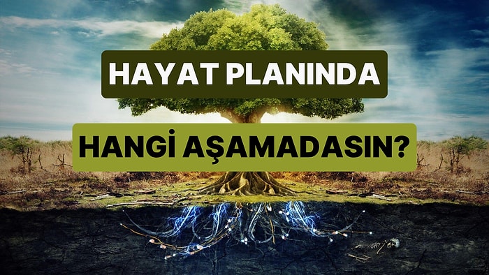 Hayat Planında Hangi Aşamadasın?