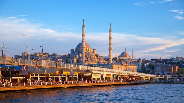 Köklerine Bağlı, Aile Merkezli: Türkiye
