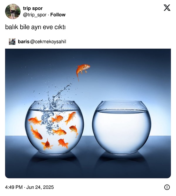 👇