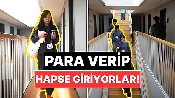 12. Güney Korelilerin Üstüne Para Verip Kendilerini Hücreye Attırdığı Hapishane