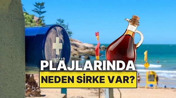 13. Avustralya Plajlarında Neden Sirke İstasyonları Var?