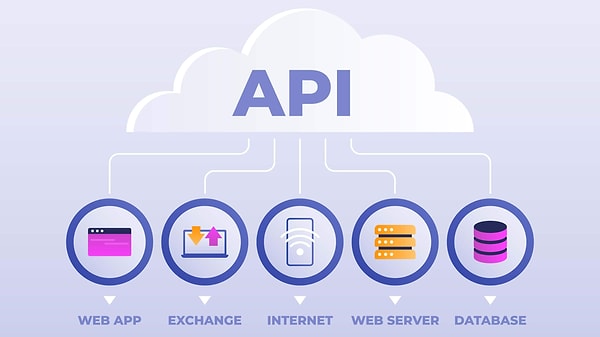 Mediazone İçeriklerinde API Entegrasyonu Var mı?