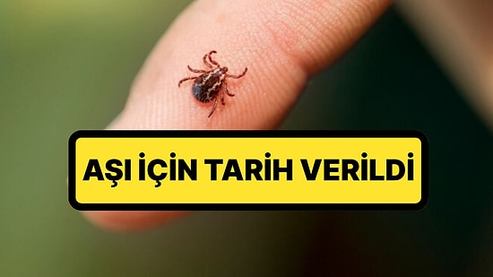 Dünyada Bir İlk! Keneden Bulaşan Kırım Kongo Kanamalı Ateşi İçin Harekete Geçildi: Aşı İçin Tarih Açıklandı