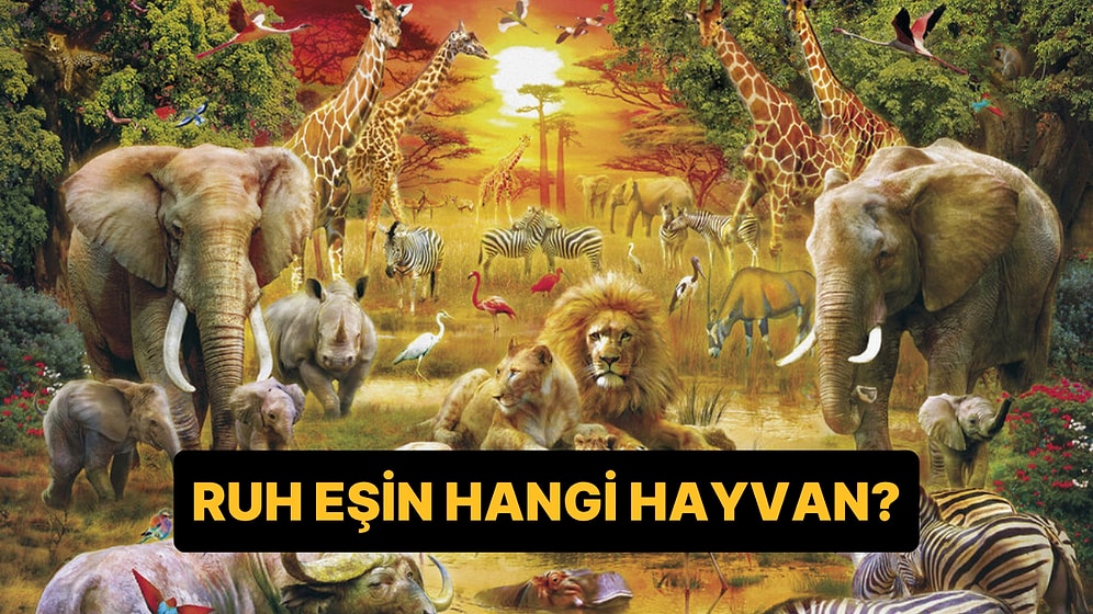 Burcuna Göre Ruh Eşin Hangi Hayvan?