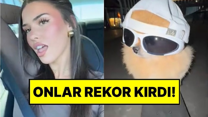 Rekorlar Listesi! Sosyal Mecraların En Popülerlerinden TikTok’un En Çok İzlenme Alan Videoları