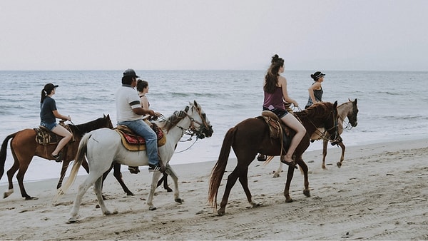 Things to Do in Patara: Not Just History, but Experience Too