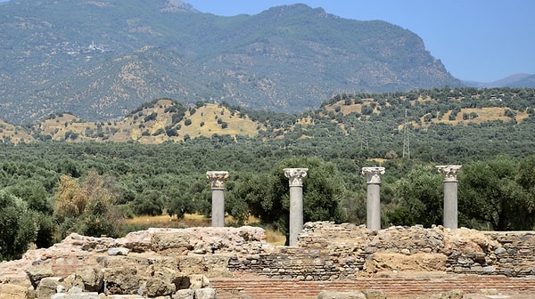Mythological and Cultural Importance of Tralleis