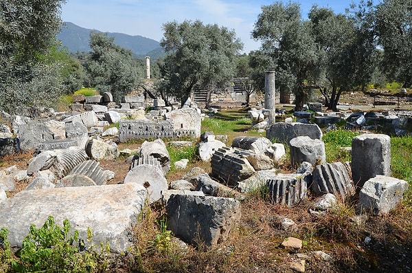 Historical Buildings to See in Nysa Ancient City