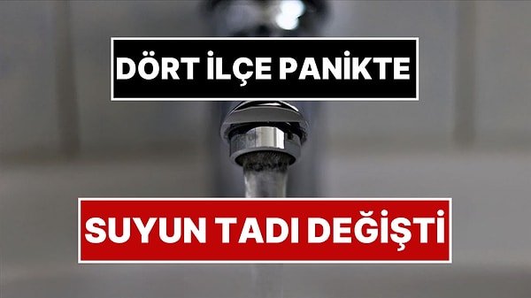 Kapak Görseli