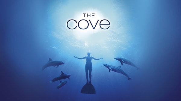 13. The Cove