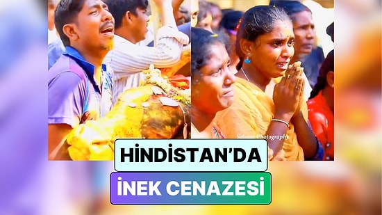 Coğrafya Hayvanlar İçin de Kaderdir: Hindistan'da Bir İnek İçin Düzenlenen Cenaze Töreni