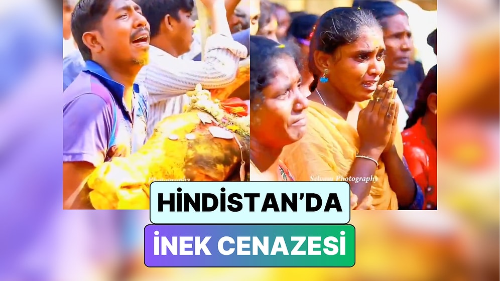 Coğrafya Hayvanlar İçin de Kaderdir: Hindistan'da Bir İnek İçin Düzenlenen Cenaze Töreni