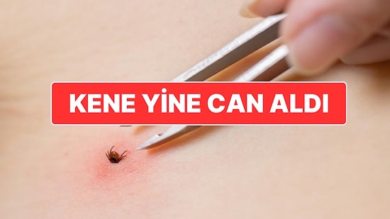 Kene Kabusu Sürüyor: Sivas’ta Kene Yüzünden Hayatını Kaybedenlerin Sayısı 10’a Yükseldi