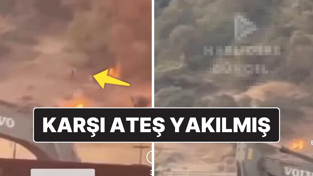 Türkiye’de Birçok Bölgede Orman Yangını: OGM &quot;Çakmakla Yangın Bilerek Çıkarıldı&quot; İddiasını Yalanladı