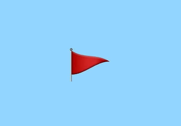 8. 🚩🚩🚩