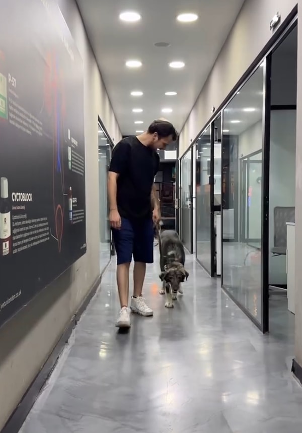 Güleç adlı dostumuzun çok daha iyi günleri yakın!
