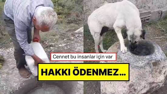 Hayvanlar İçin Kayalardan Yalak Yapan ve Her Gün Su Koyan 73 Yaşındaki Amca Günümüzü Güzelleştirdi!