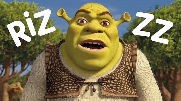 10. Son olarak "rizz" ne demek diye soralım!