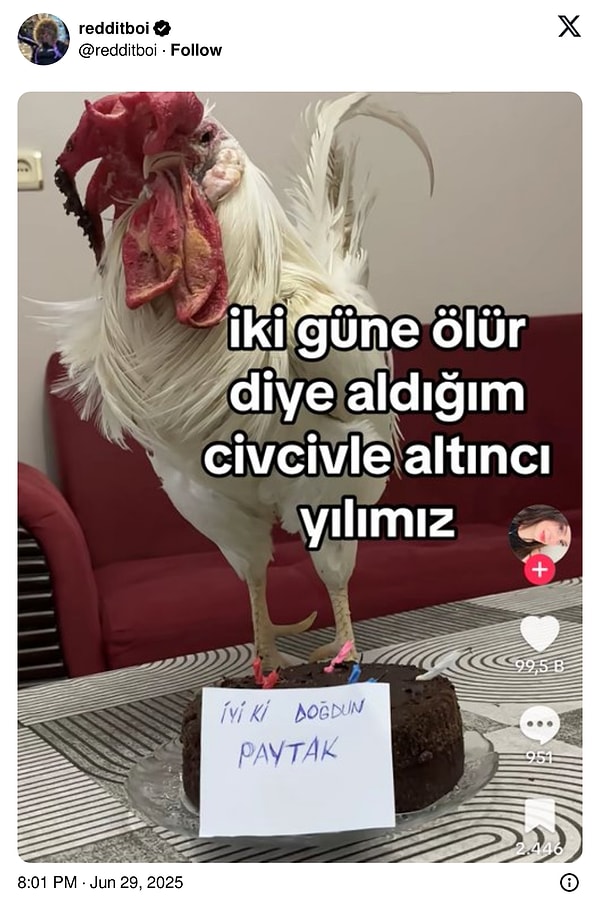 👇