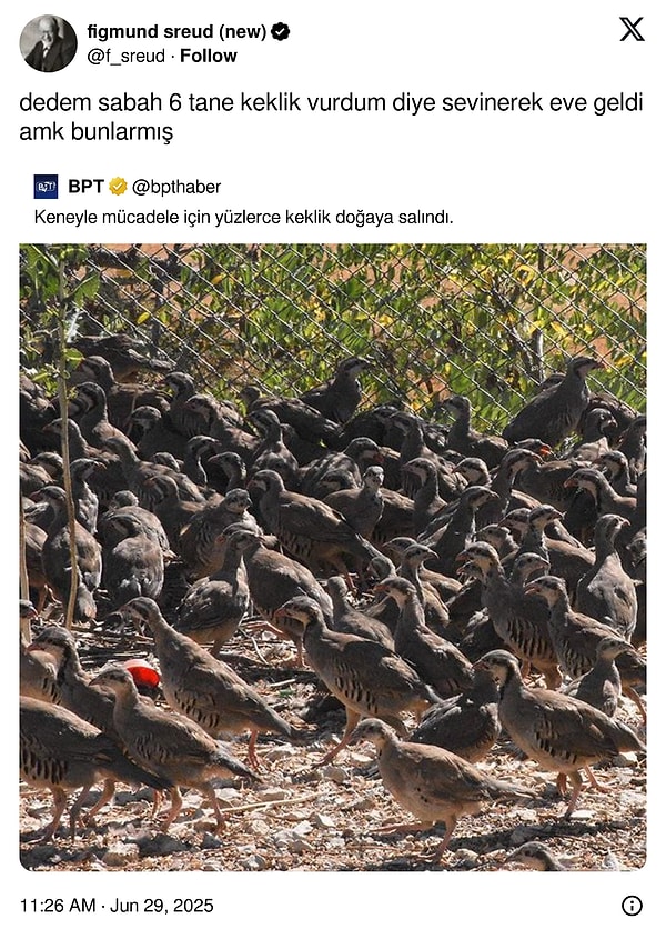 👇