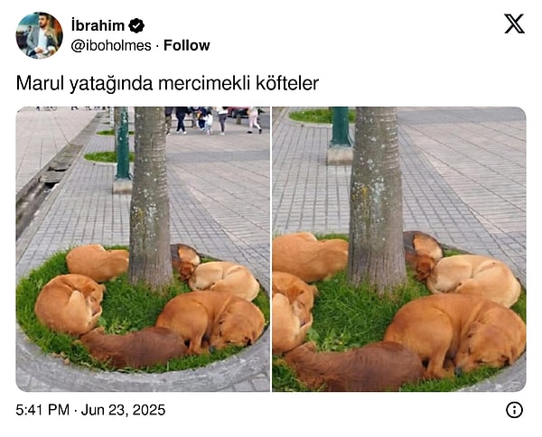 Aa aynısı!