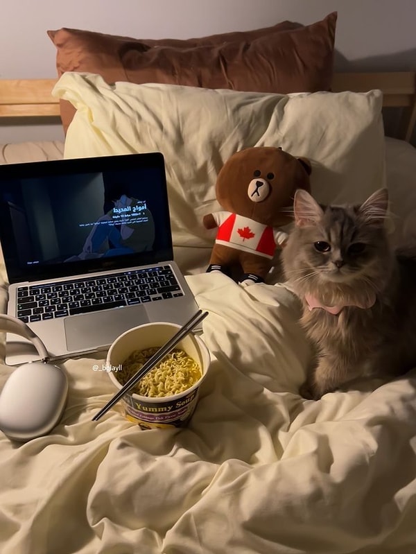 3. Film önerisi
