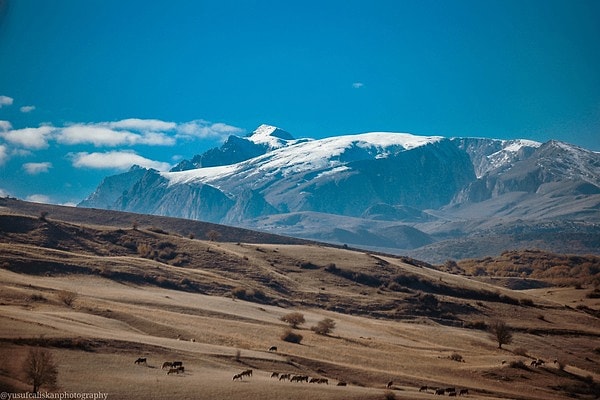 Zahidem’in arkasında dillere destan, kavuşamamış bir aşk var.