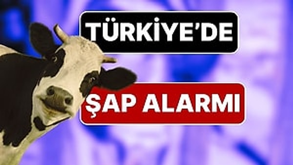 Türkiye genelinde şap hastalığı mihraklarında yaşanan artış nedeniyle tüm hayvan pazarları kapatıldı.