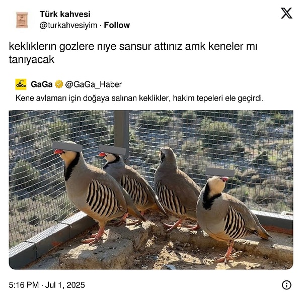 Mevzu vatan olunca...